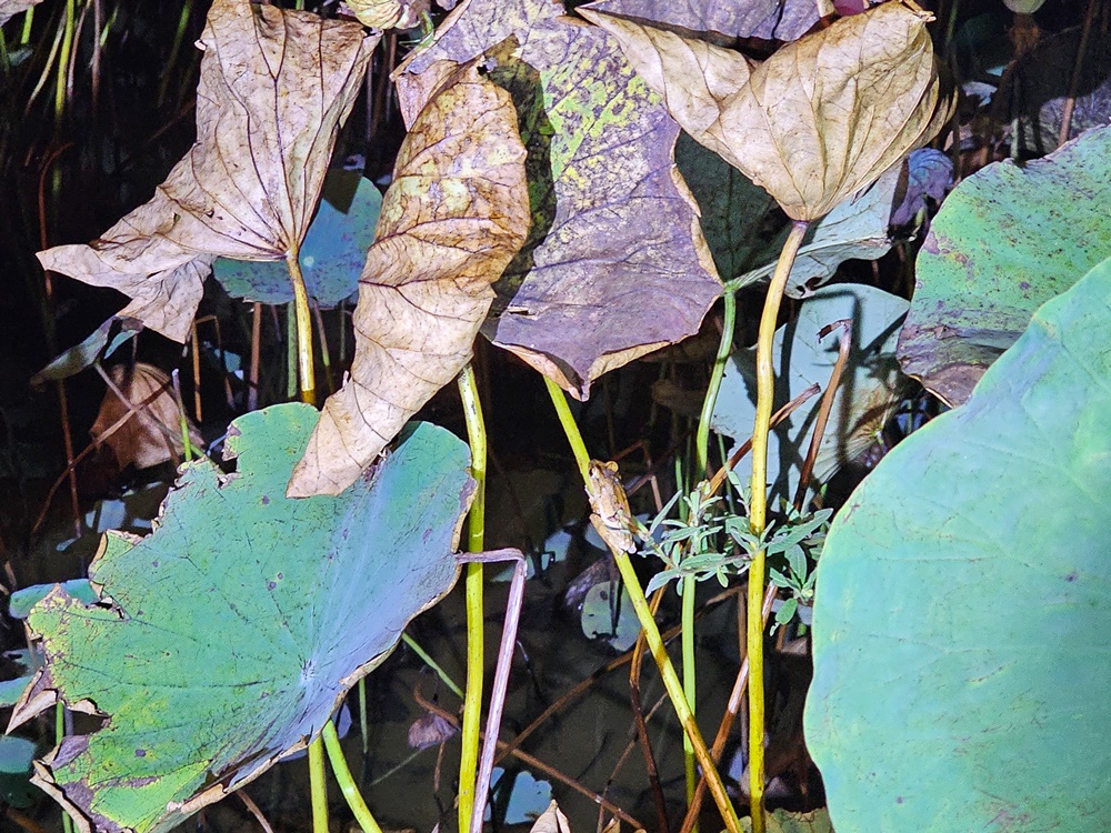 R20250928 30