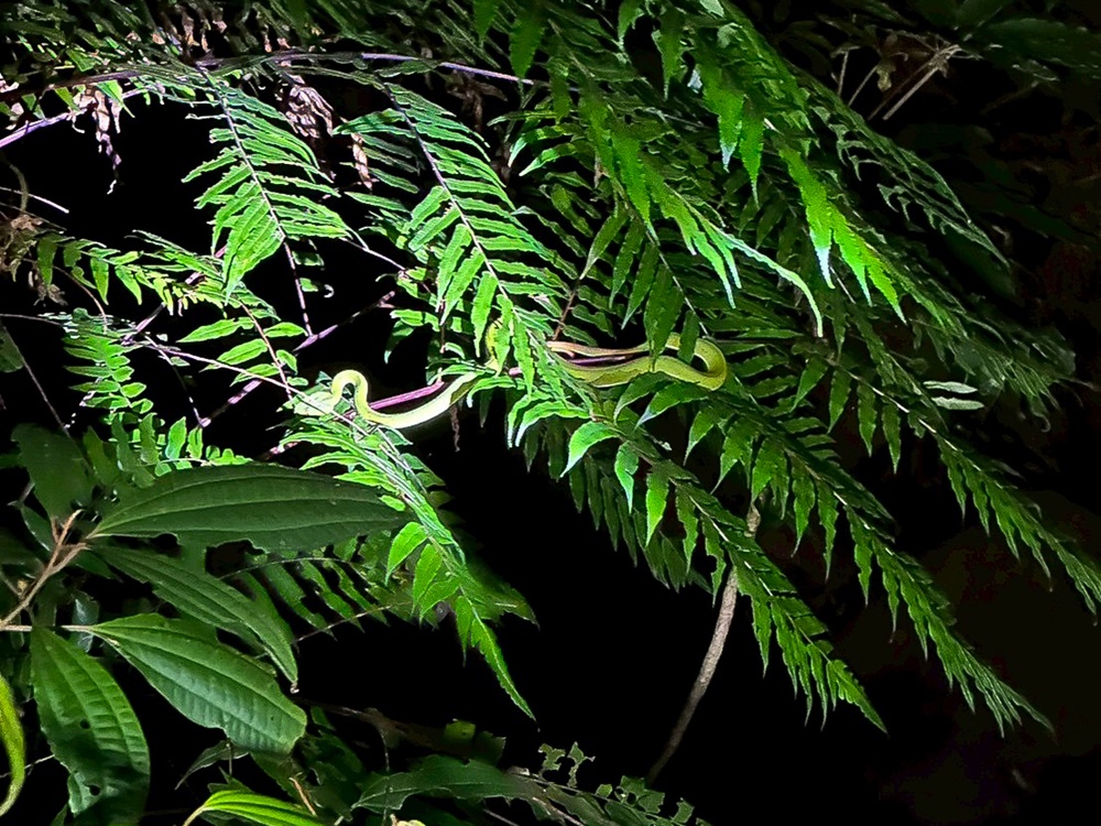 R20250928 32