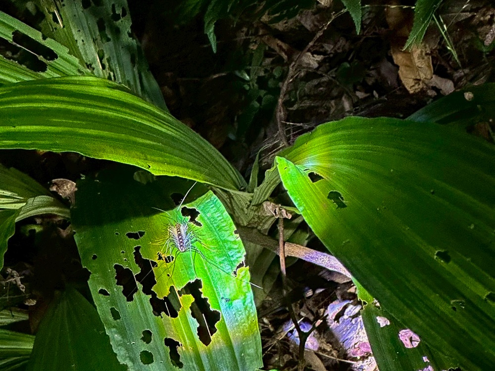 R20250928 33