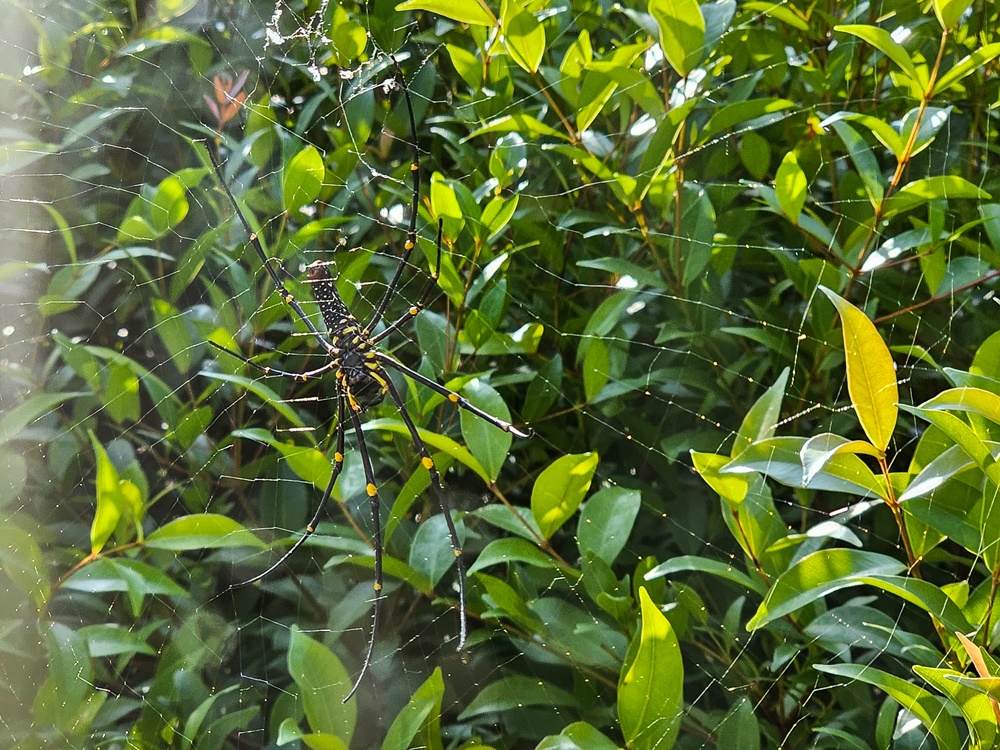 R20250928 34